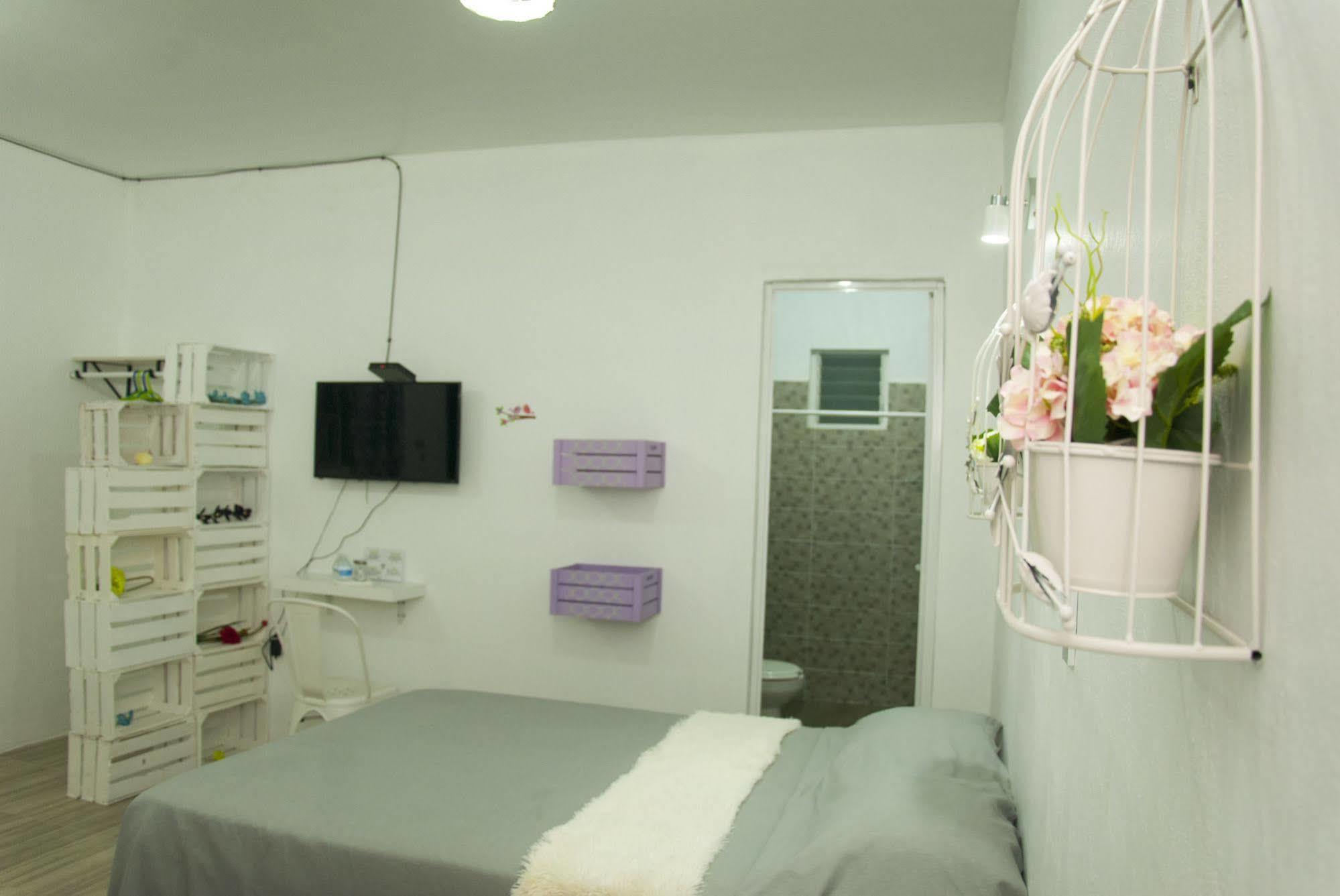Hotel Karenina Oaxaca 外观 照片